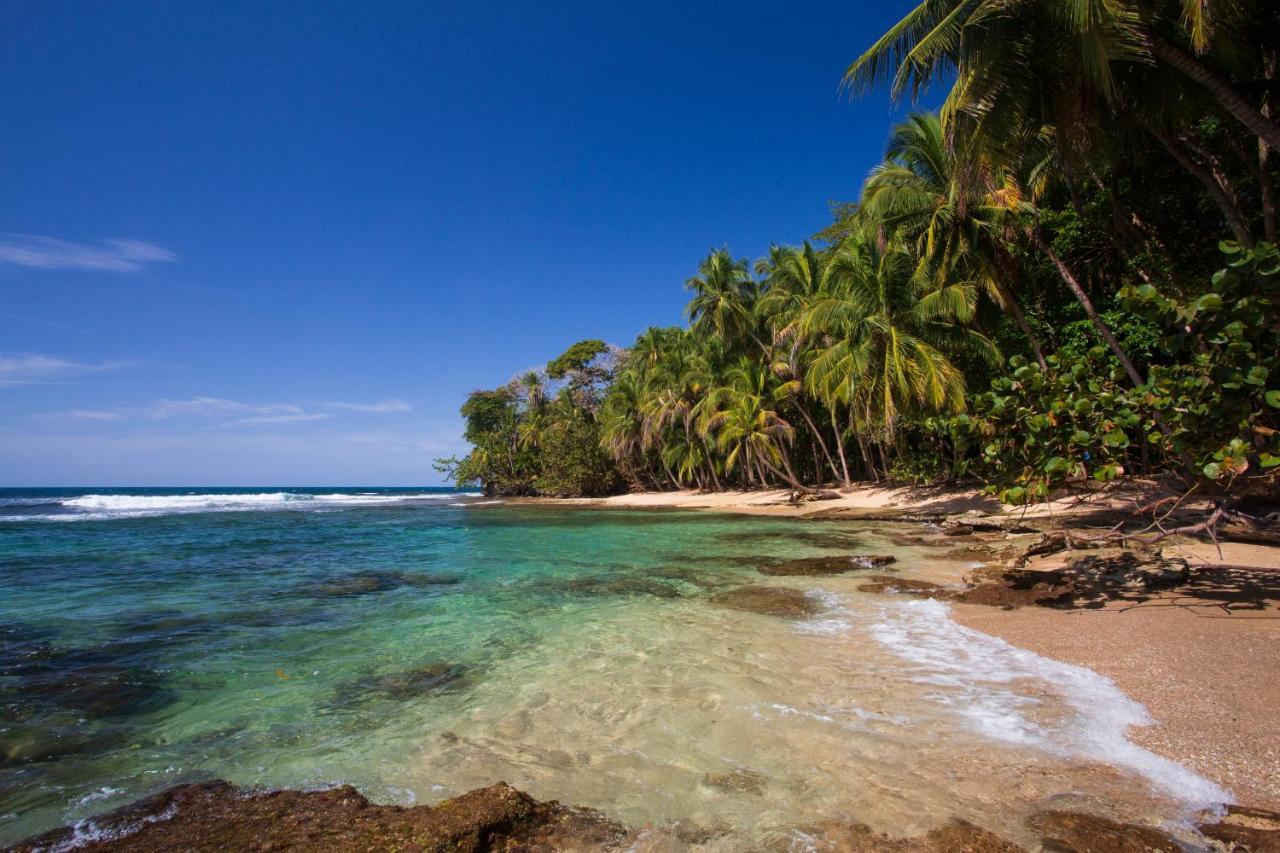 Manzanillo Caribbean Resort Puerto Viejo de Talamanca Eksteriør billede